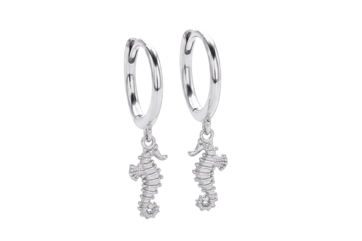 Hoops de caballitos de mar