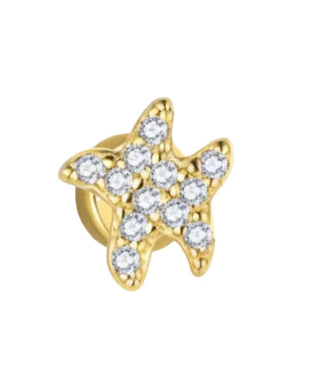 Pantalla para piercings estrella de mar