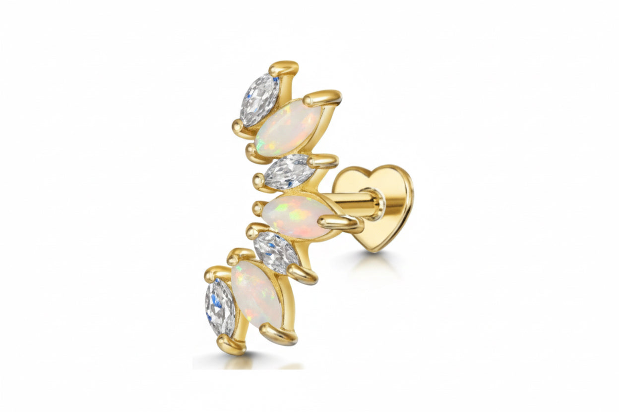 Pantalla para piercings