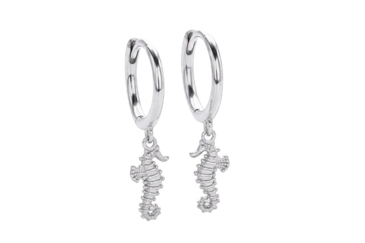 Hoops de caballitos de mar