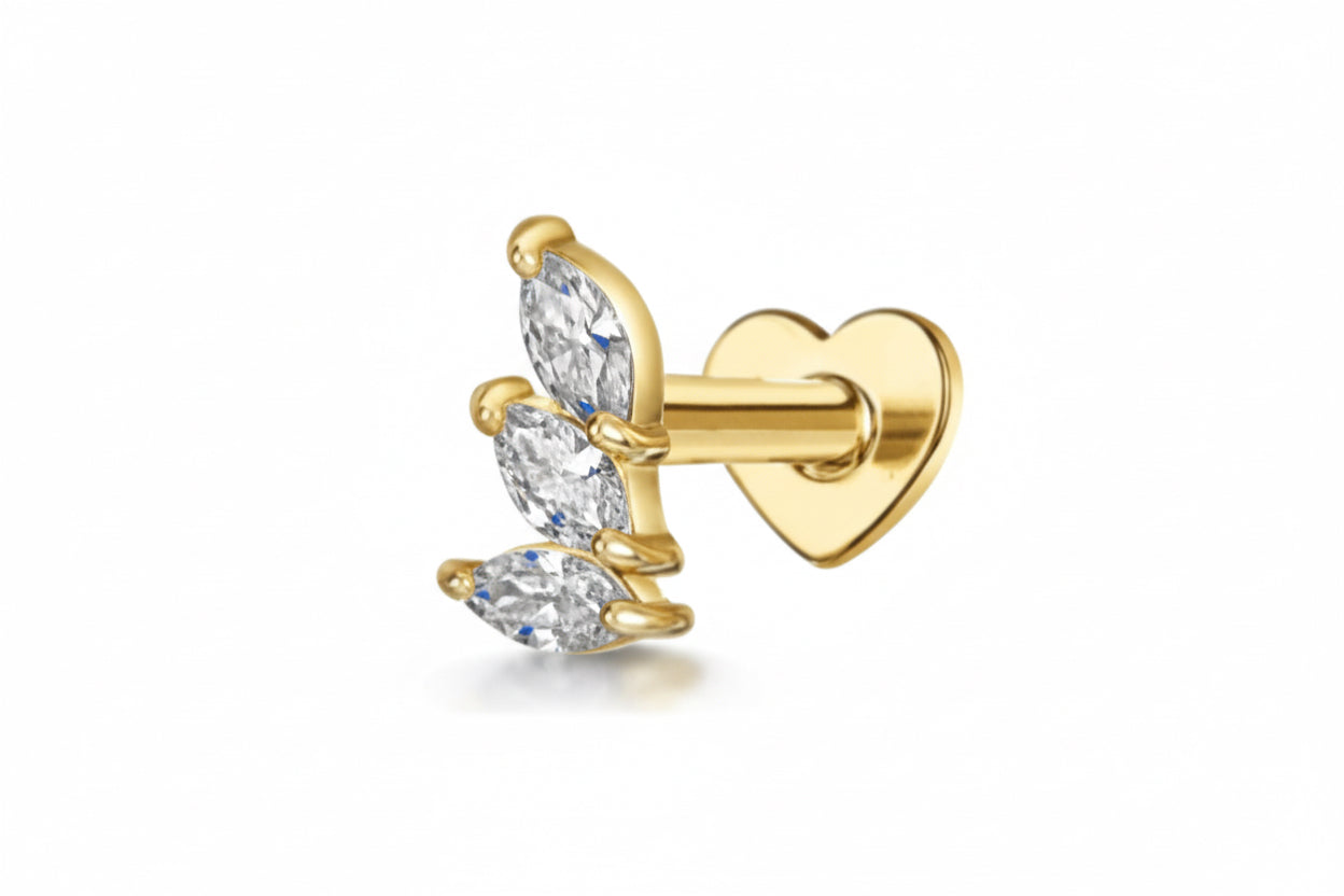 Pantalla para piercings